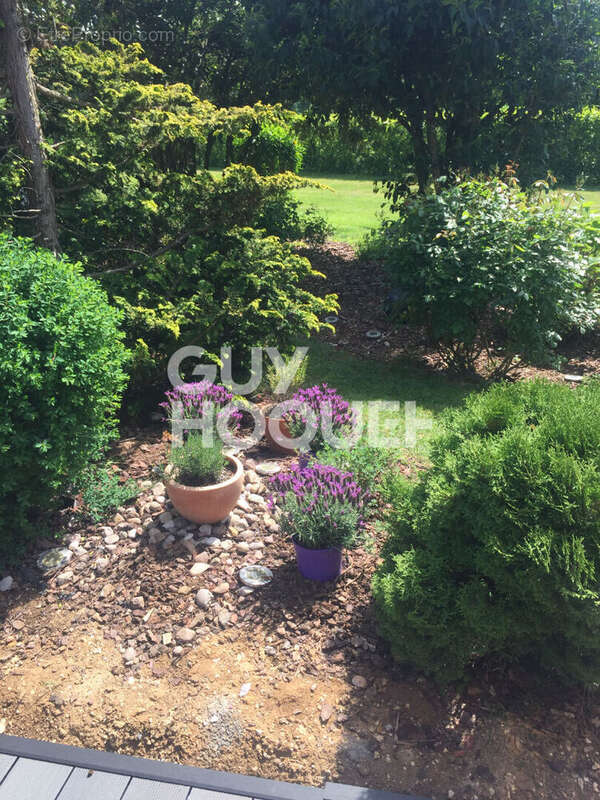 Maison à NOROY-LE-BOURG