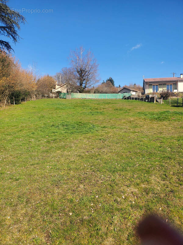 Terrain à POULE-LES-ECHARMEAUX