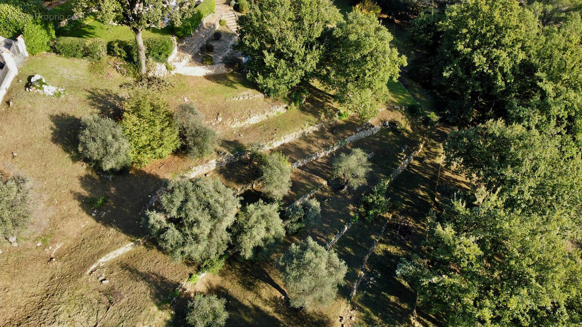 Terrain à TOURRETTES-SUR-LOUP