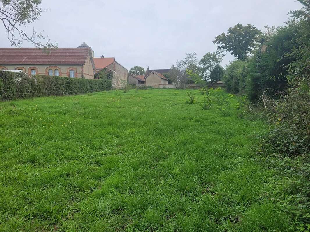 Terrain à LE THEIL