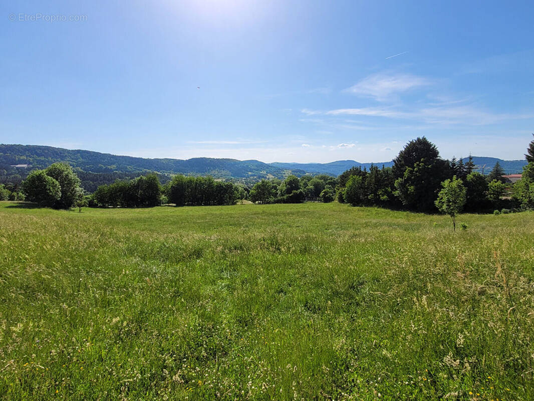 Terrain à ARSAC-EN-VELAY