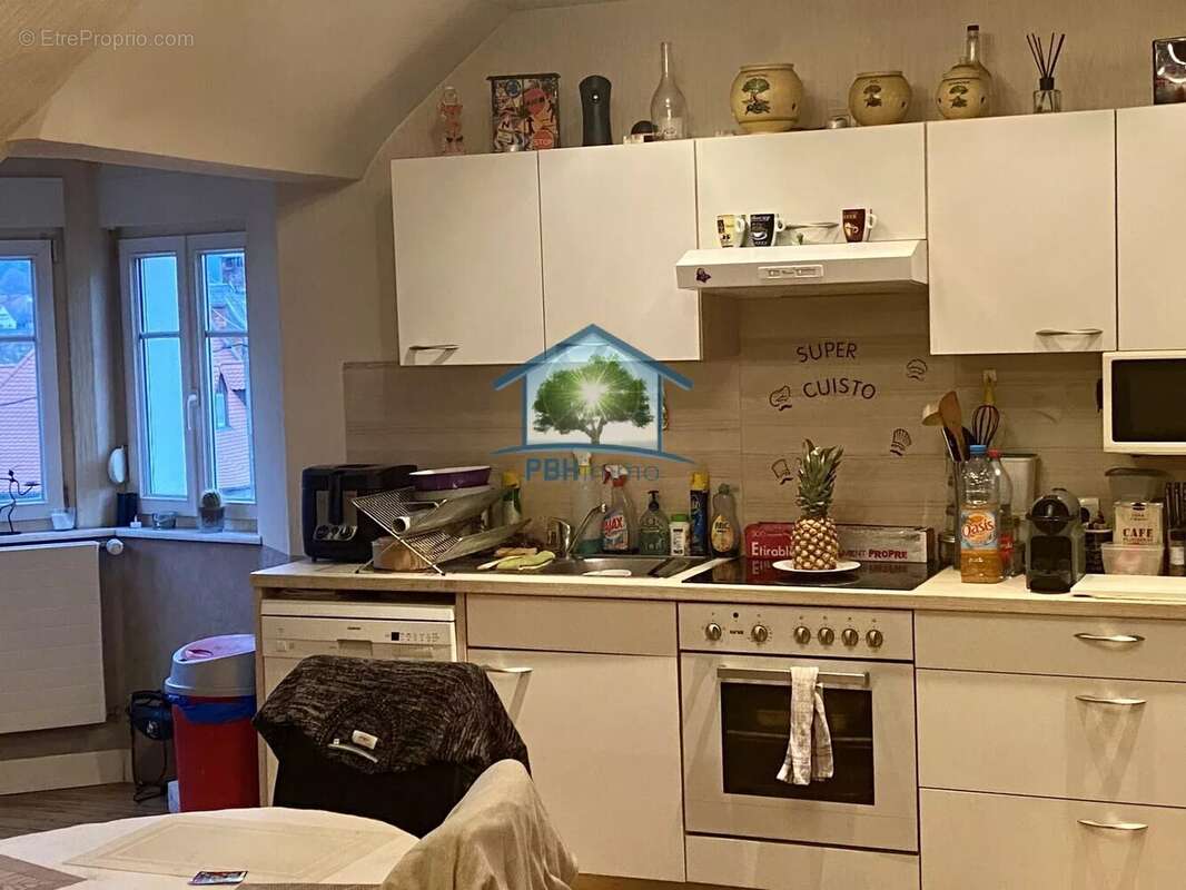 Commerce à SARREGUEMINES