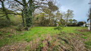 Terrain à SAINT-HILAIRE-DE-RIEZ