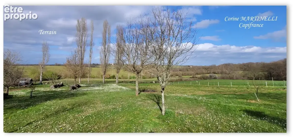 Ensemble de 2 maisons - Terrain 1.9 hectare - photo 20