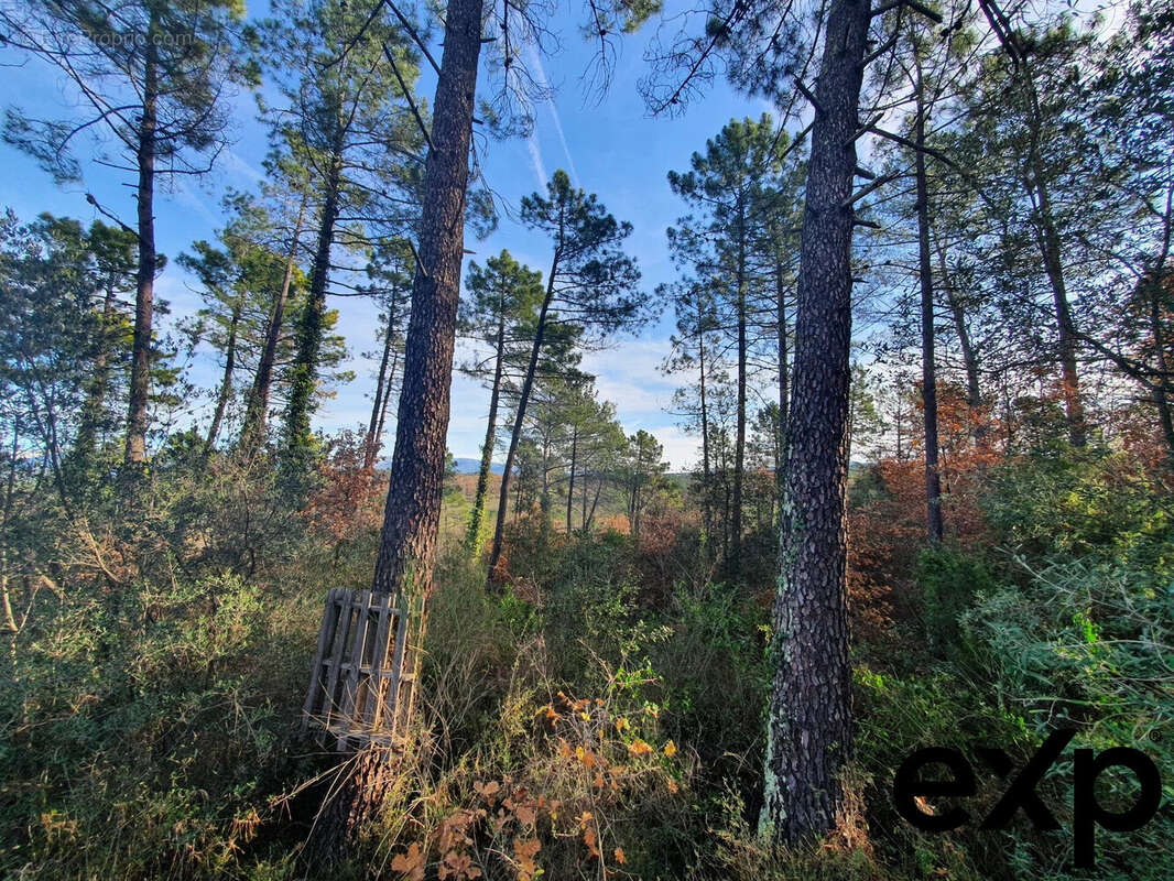 Terrain à SAINT-PAUL-EN-FORET