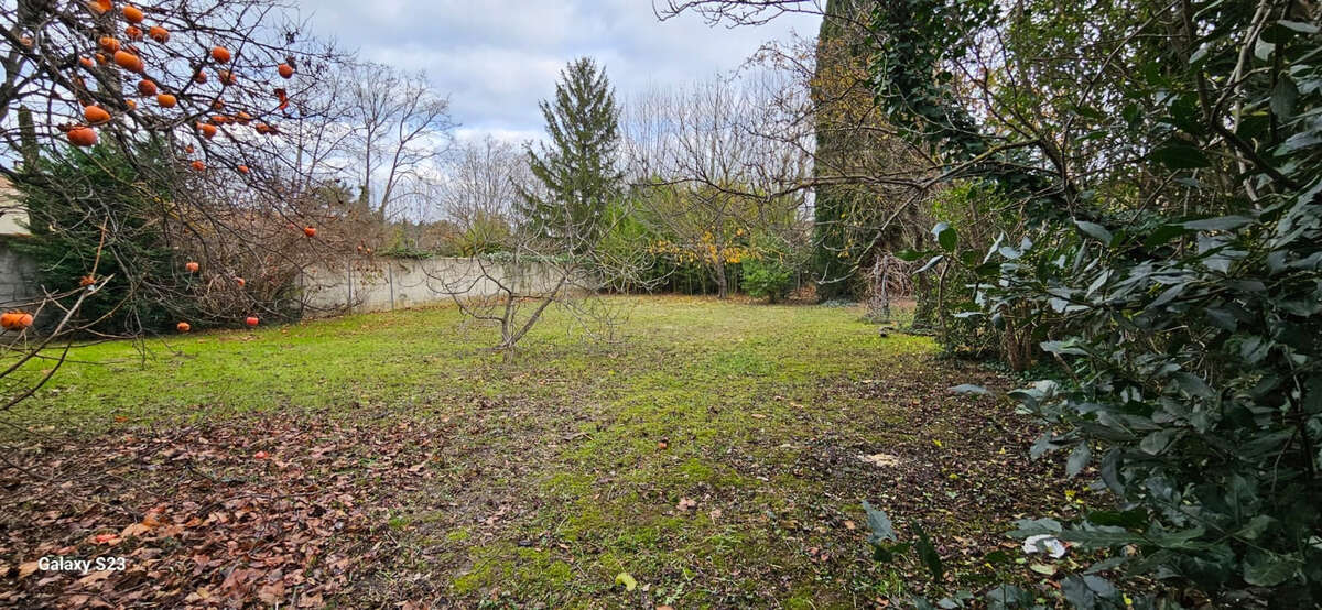 Terrain à SAINT-REMY-DE-PROVENCE