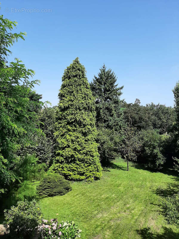 Terrain à L'HORME