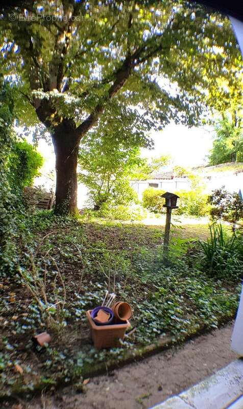 Photo 9 - Appartement à AIXE-SUR-VIENNE