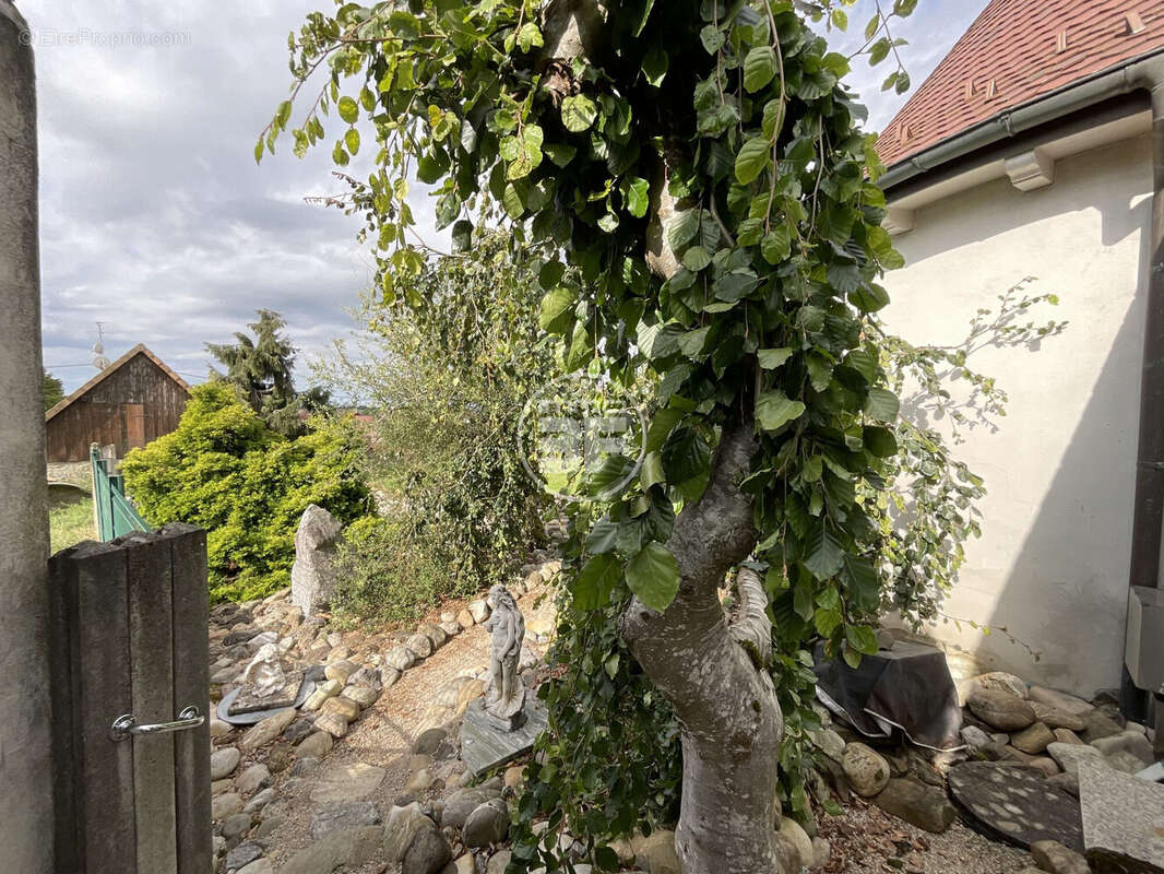 Maison à DURLINSDORF