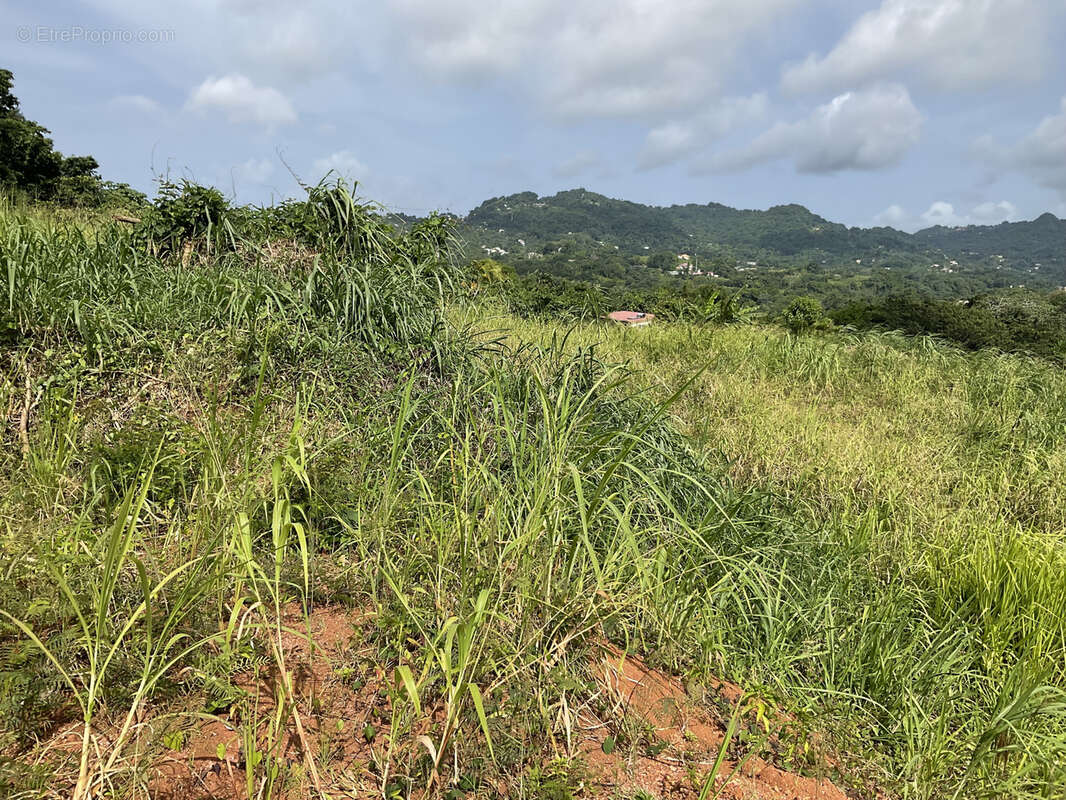 Terrain à LE ROBERT