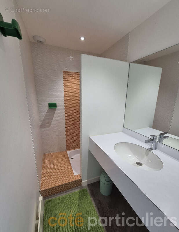 Maison d'architecte T7 de 272m2 boule d'or - photo 14