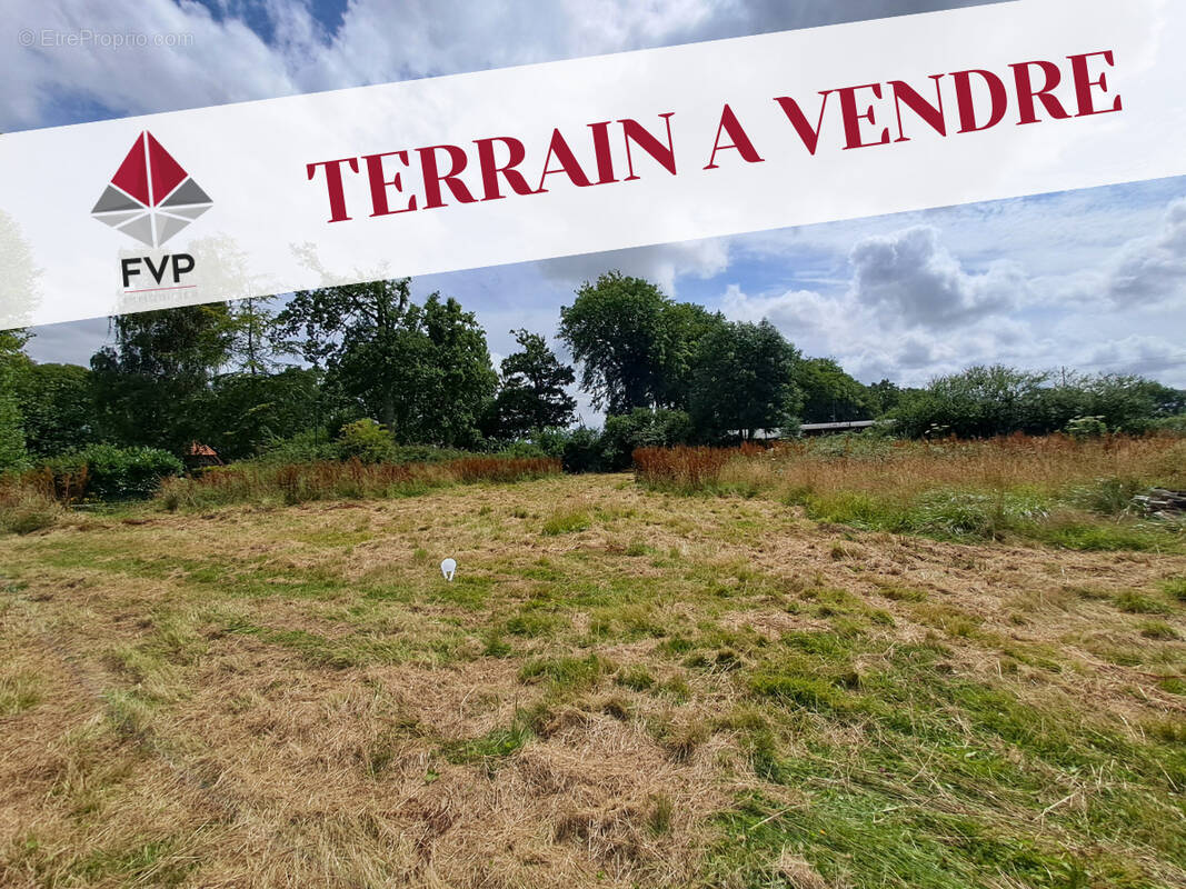 Terrain à VEULES-LES-ROSES