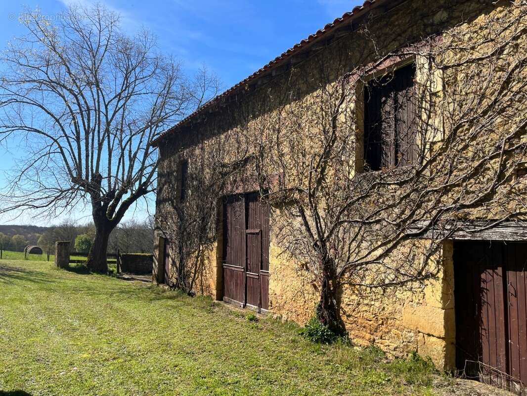 IMG_8385 2.jpeg - Maison à SAINT-AVIT-SENIEUR