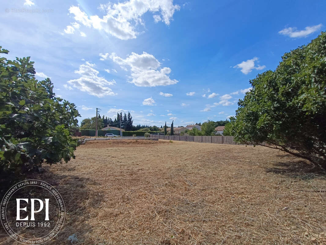 Terrain à vendre 898 m2   Badens (Minervois, proche Trèbes,  Carcassonne) - photo 2