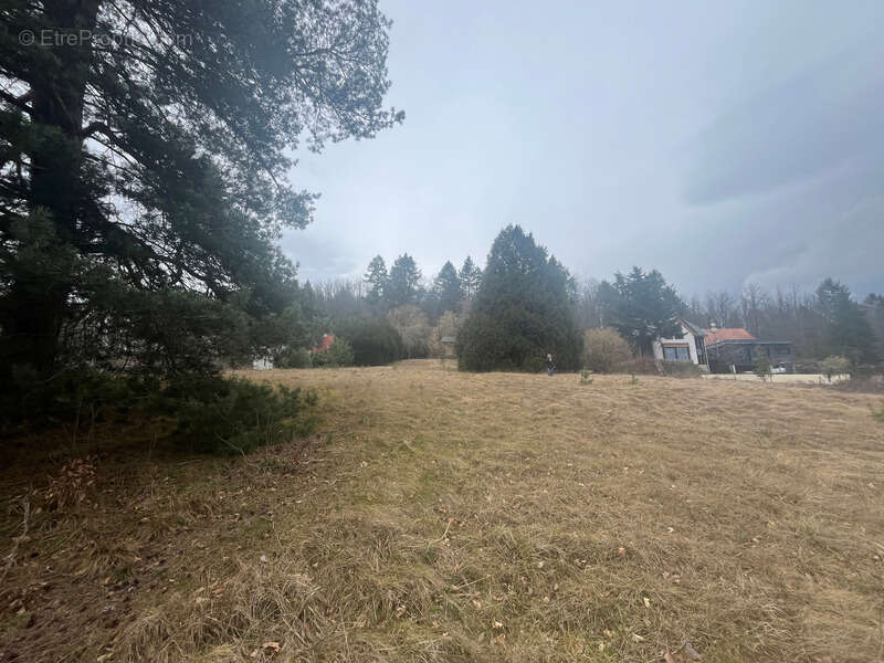 Terrain à OBERHASLACH