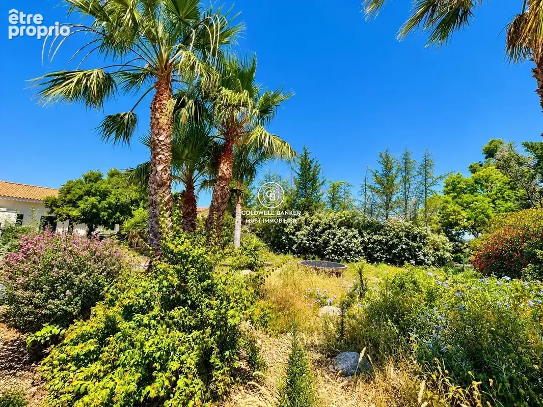 Route des Plages -Perpignan - photo 3