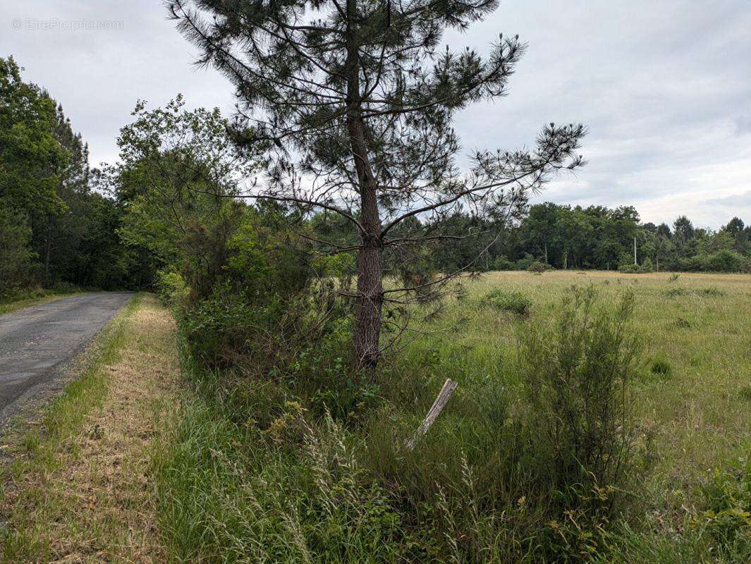 Terrain à CERCOUX
