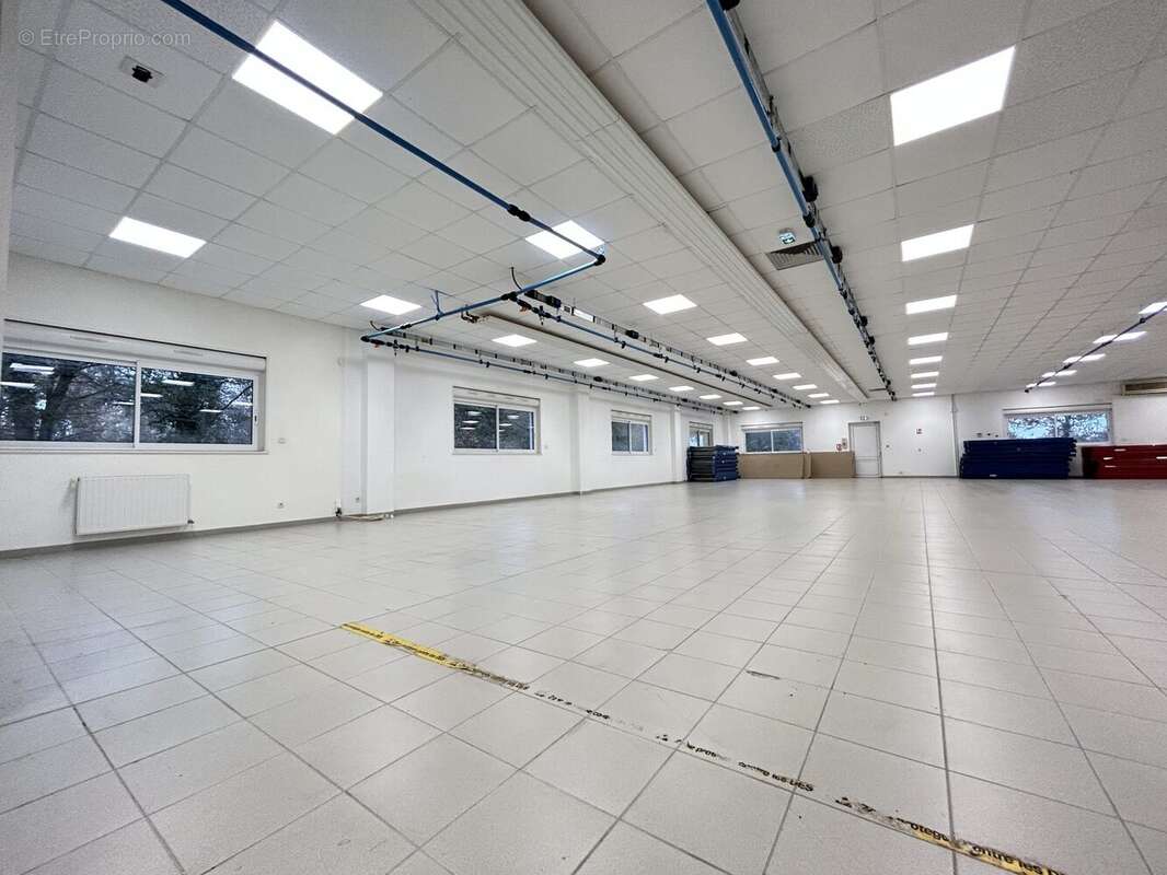 Commerce à CORDEMAIS