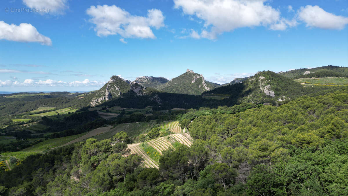 Maison à BEAUMES-DE-VENISE