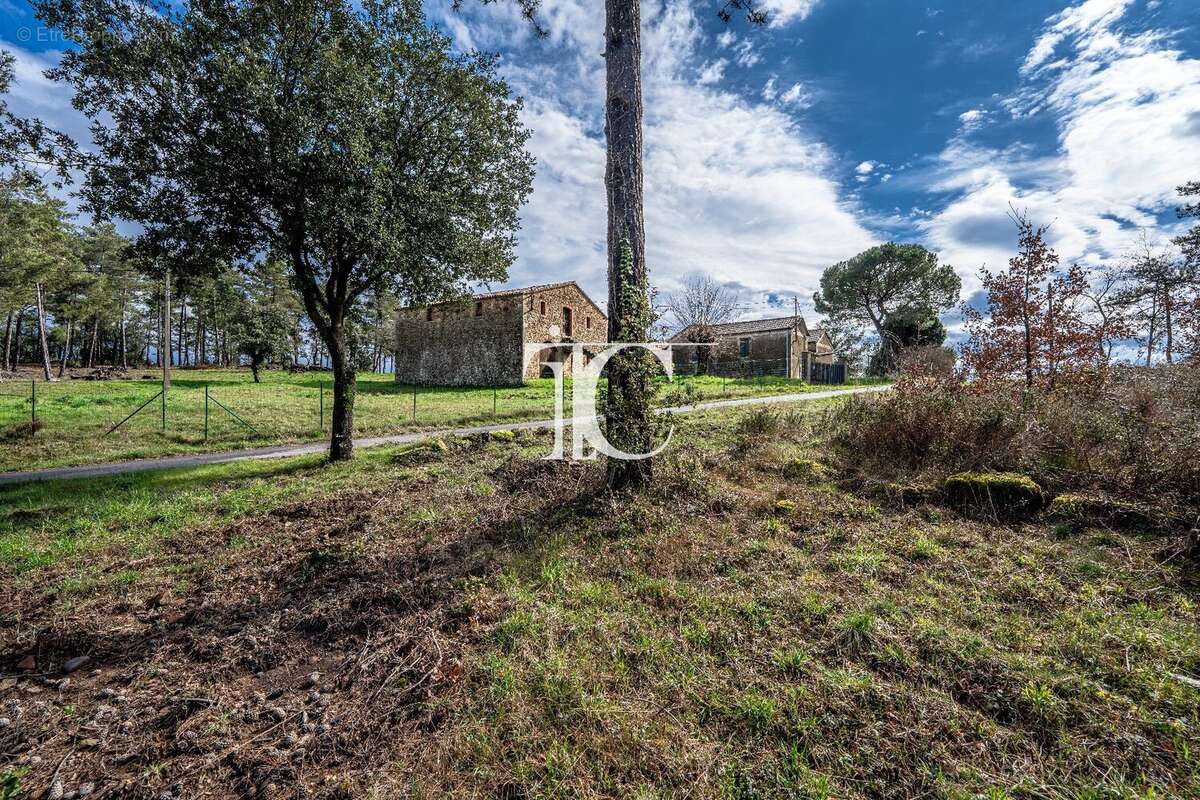Terrain 9650m² situe plein sud - photo 9