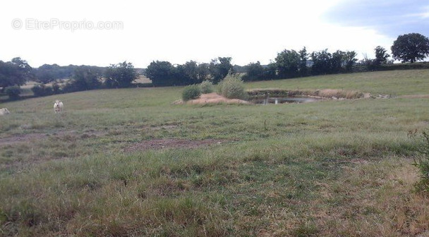 Maison à NEUVY-GRANDCHAMP