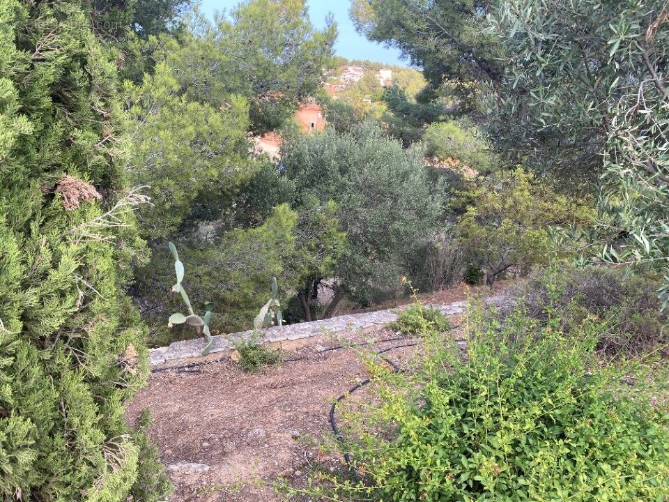 Terrain à LA CADIERE-D'AZUR
