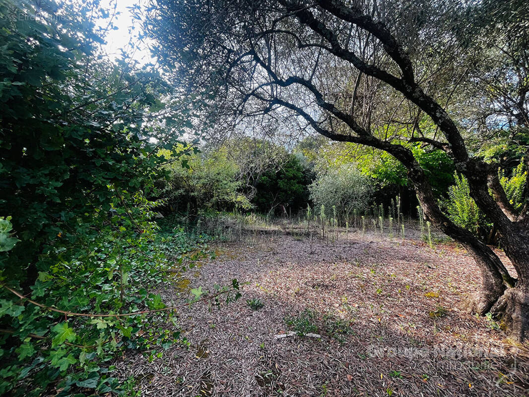 Terrain à GOUDARGUES