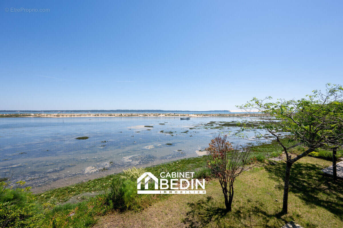 Maison 215 m² à Lege-Cap-Ferret  - photo 2