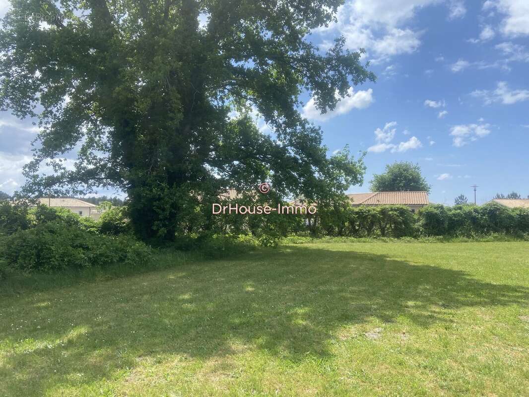 Terrain à PARENTIS-EN-BORN