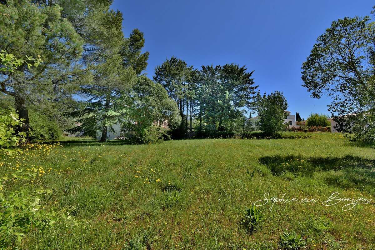 Terrain de 2 846 m² viabilisé à EGUILLES (13) – Vente en totalité ou par lot de 1 423 m² - photo 2
