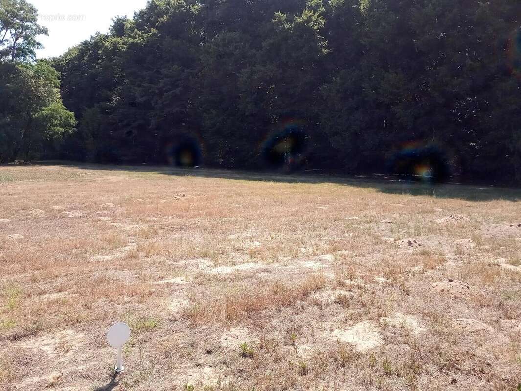 Photo 3 - Terrain à GEMOZAC