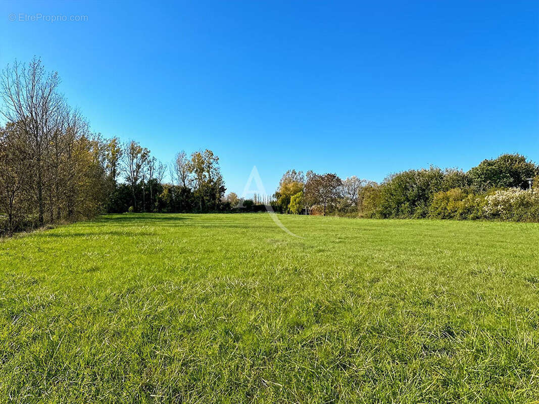 Terrain à LE PERRIER