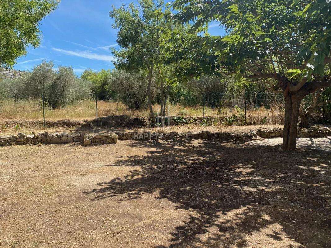 Ensemble immobilier Alpilles Sud sur terrain de 3627 M2 - photo 15