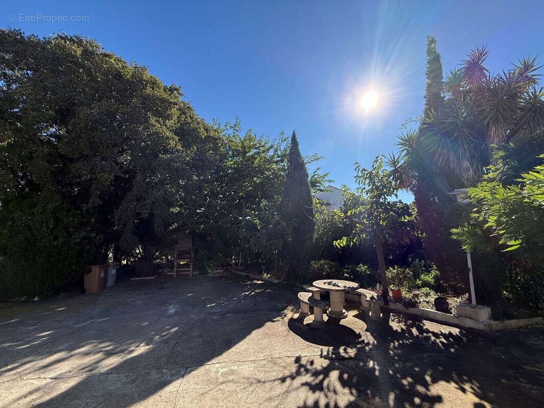 Photo 6 - Maison à ARGELES-SUR-MER