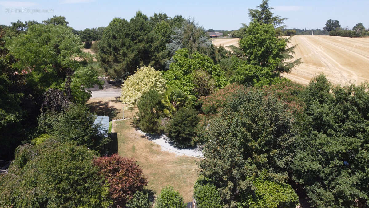 Argentré-Du-Plessis, maison en pierres rénovée de 166 m2 sur 1 755 m² de terrain - photo 8