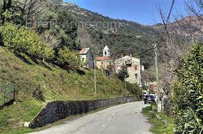 Terrain à LORETO-DI-TALLANO