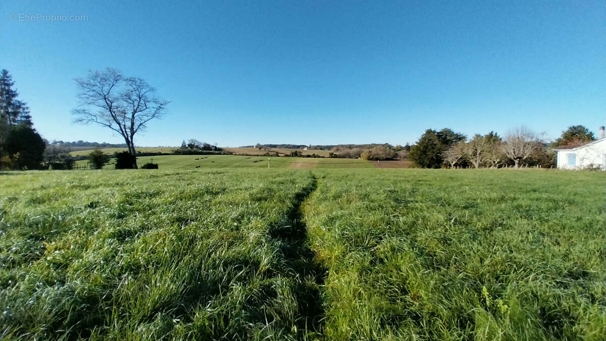 Grange sur 1 hectare en zonage Agricole / Loisirs STECAL ou Pastilles - photo 3