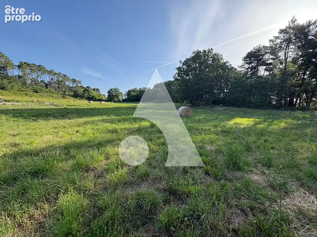 Terrain Mercuer 1064 m2 - photo 2