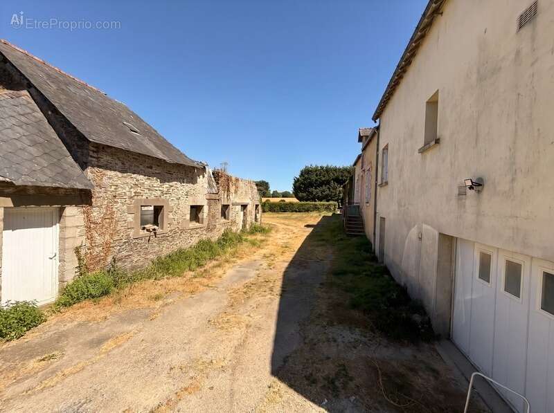 Longère en pierre – 150,76 m² – 6 pièces – 5 chambres – Terrain 6 345 m² – Dépendances – Hangar – Sous-sol complet - photo 3