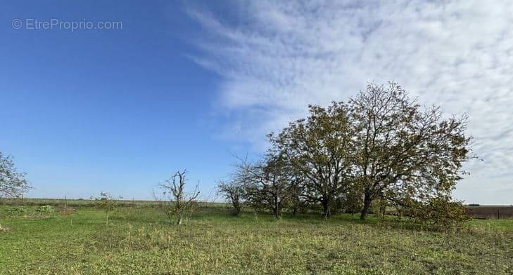 Terrain à LA ROCHE-POSAY