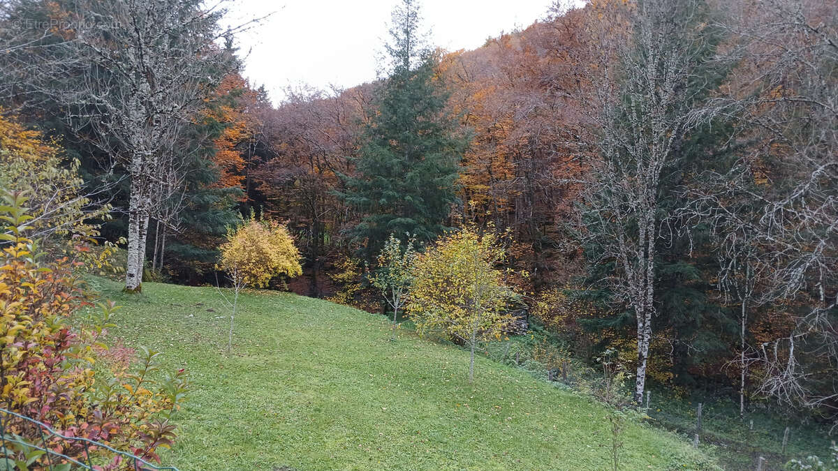 Maison à MOUSSAGES