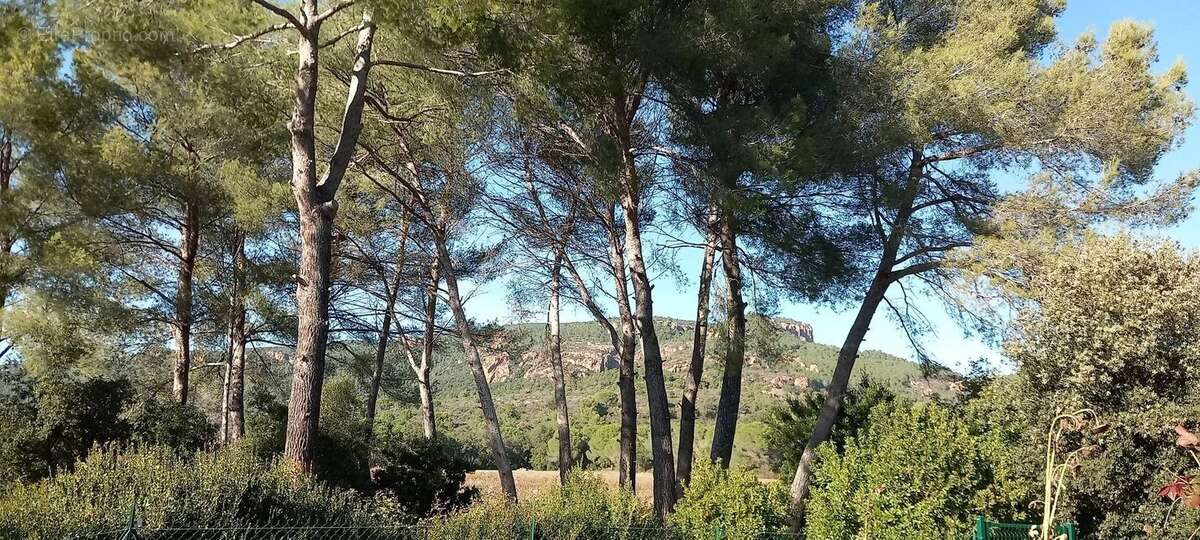 Maison à ROQUEBRUNE-SUR-ARGENS