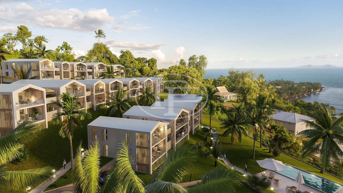 Appartement à BASSE-TERRE