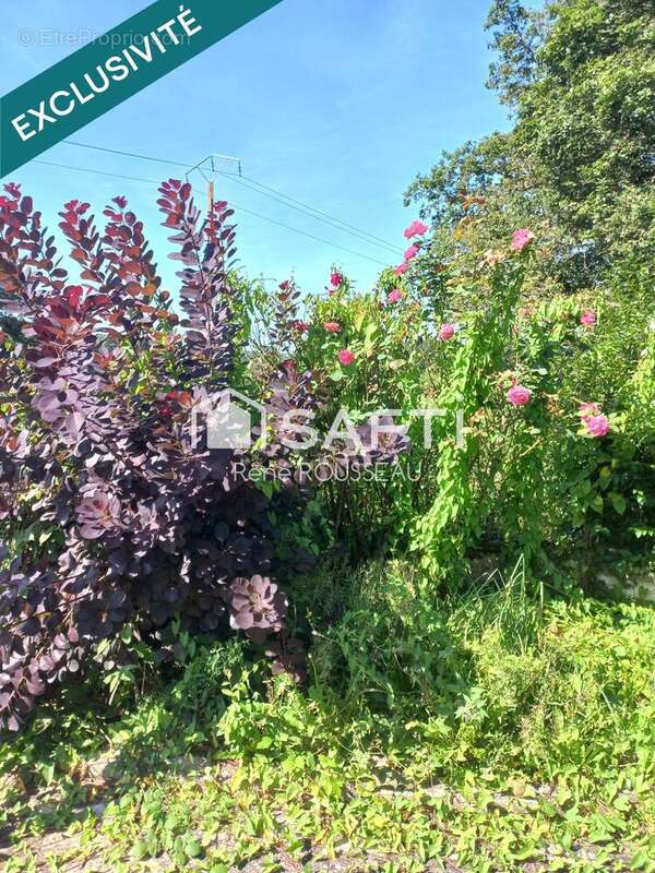 Photo 5 - Maison à BLAIN