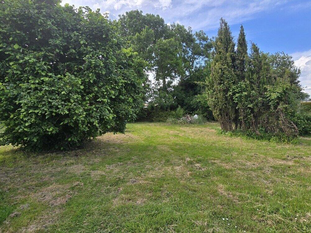 Terrain à LES MATHES