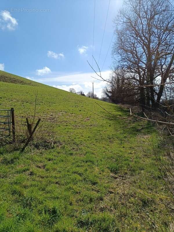 Terrain agricole sur 6 hectares, bois, source, compteur d'eau, clos, abri animaux, chevaux - photo 16