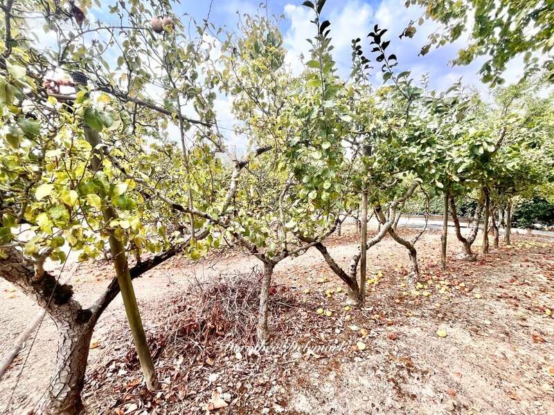 Maison à BEAUVOIR-SUR-NIORT