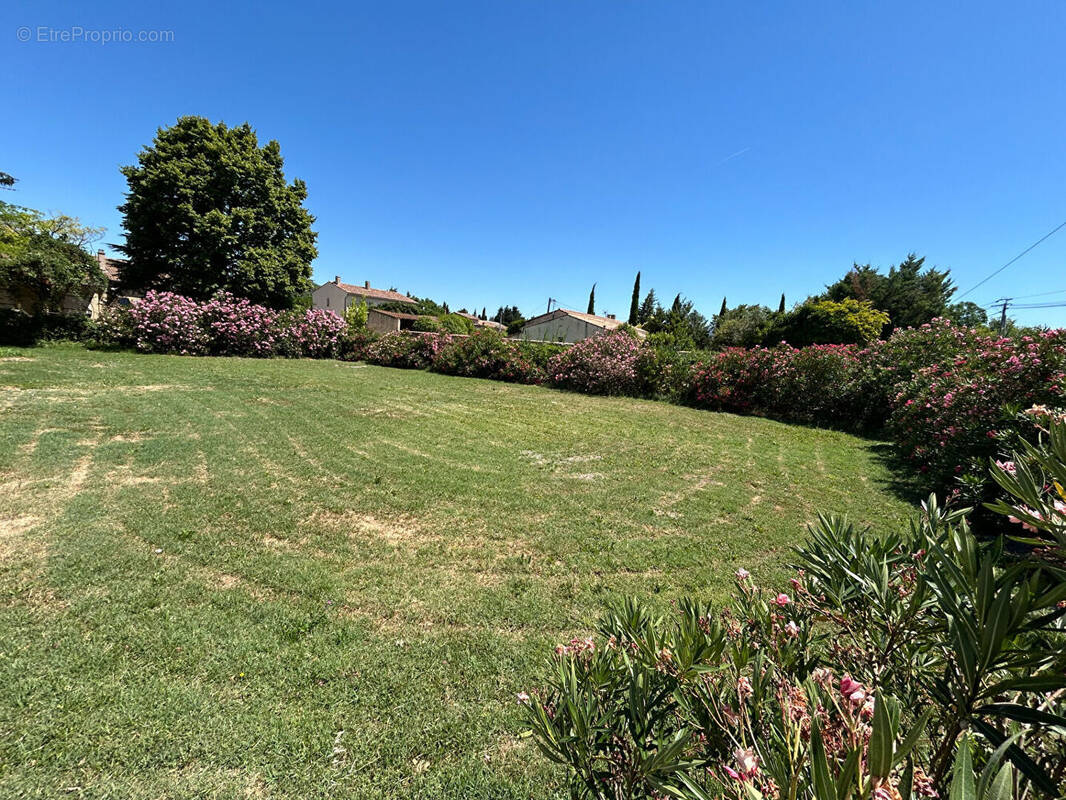 Terrain à L'ISLE-SUR-LA-SORGUE
