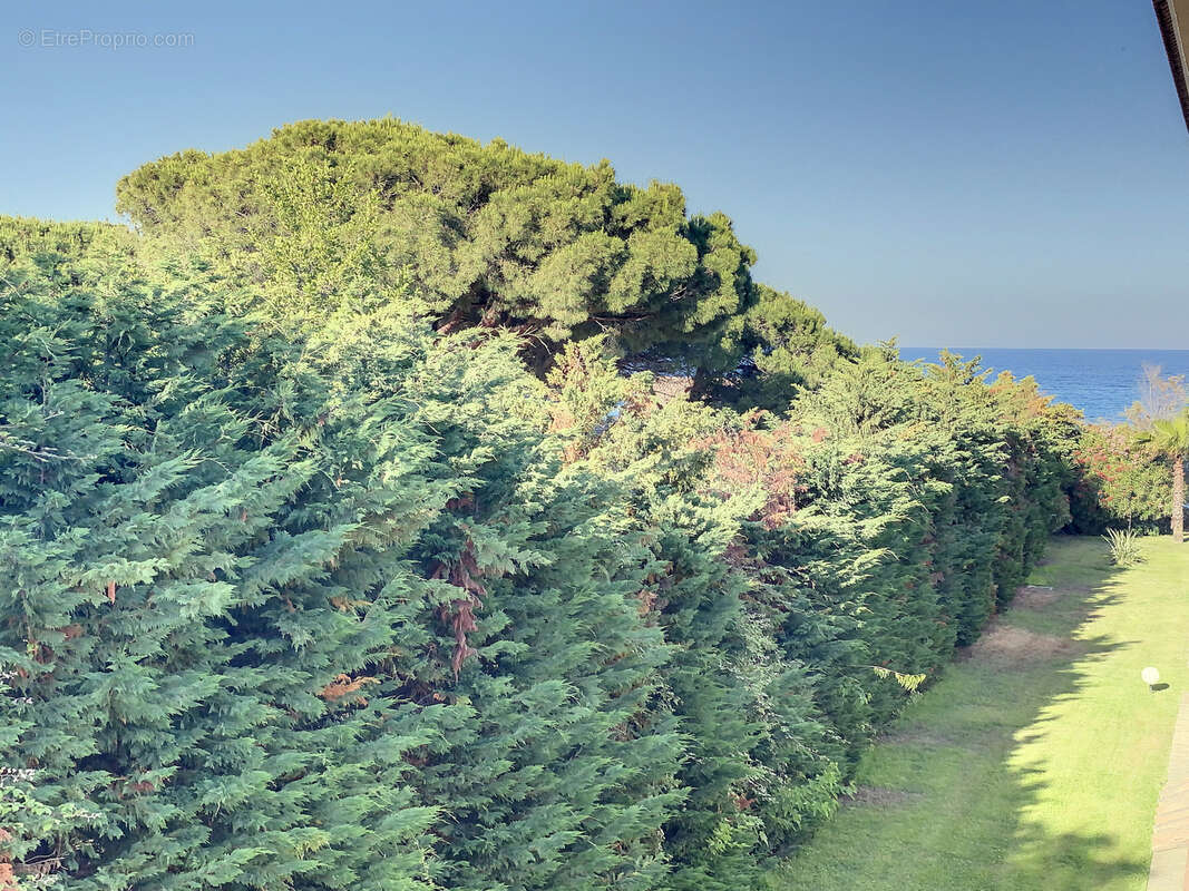 Appartement à SAN-NICOLAO