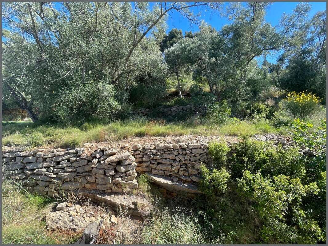 Photo 3 - Maison à LE REVEST-LES-EAUX